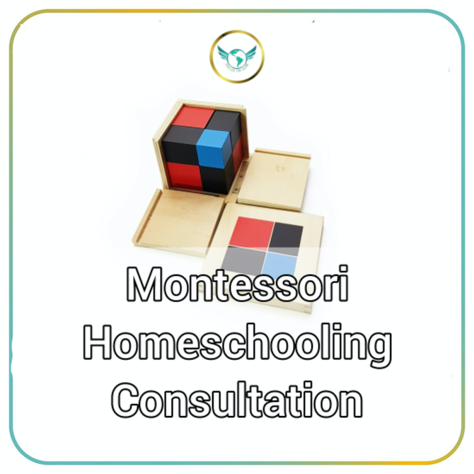 Montessori Homeschooling Consultation
